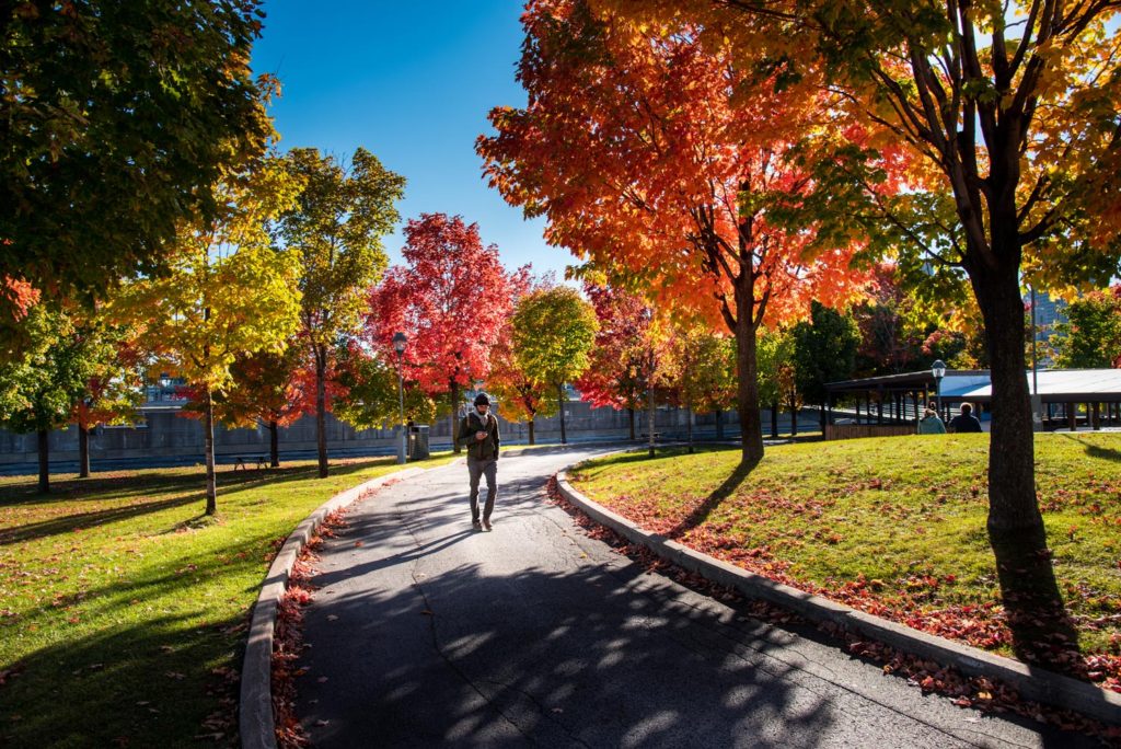 montreal automne downtown molino photo